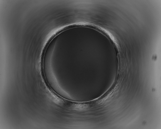 X0000100311327200806121031