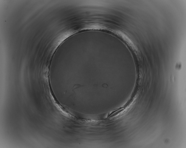 X0000100311329200806121031