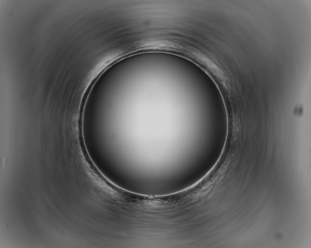 X0000100311330200806121031