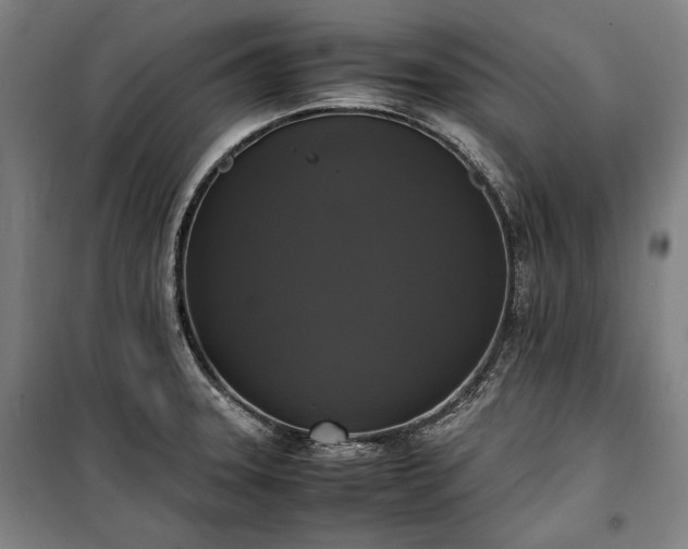 X0000100311331200806121031