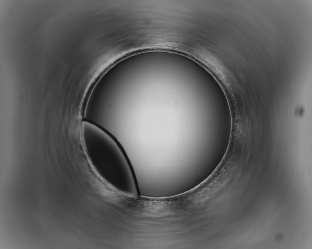 X0000100311332200806121031