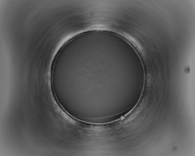 X0000100311334200806121031