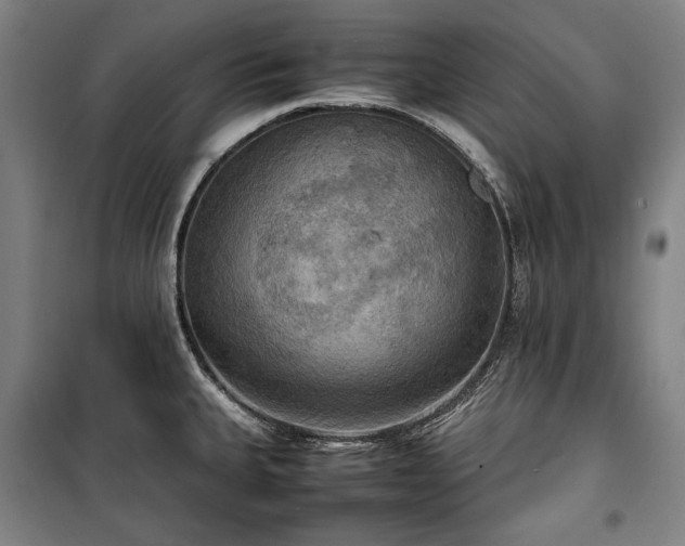 X0000100311335200806121031