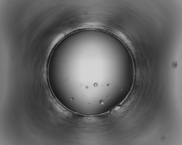 X0000100311336200806121031