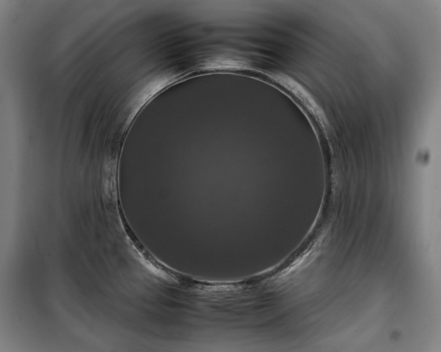X0000100311337200806121031
