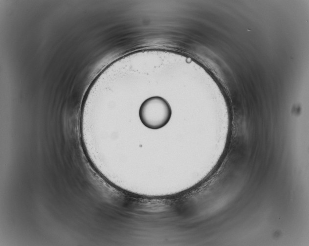 X0000100311338200806121031