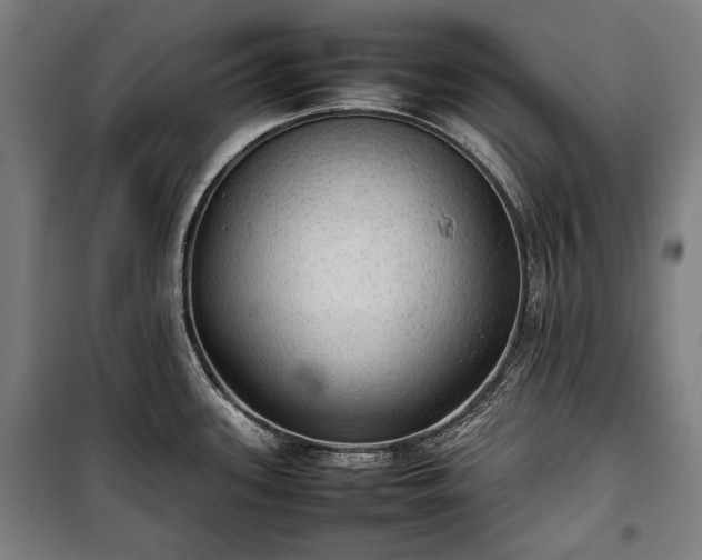 X0000100311339200806121031