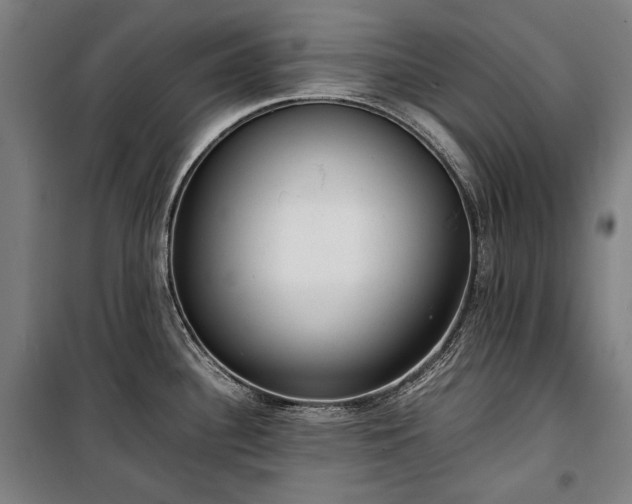 X0000100311340200806121031