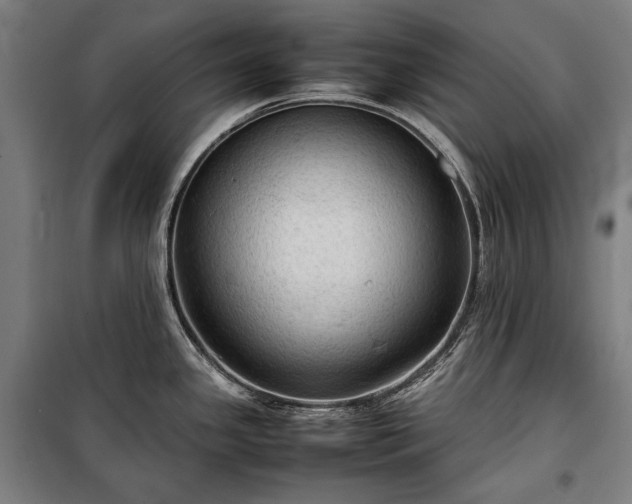X0000100311341200806121031