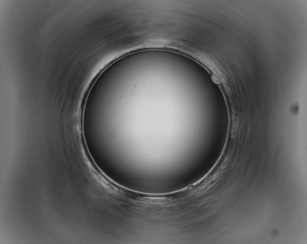 X0000100311342200806121031