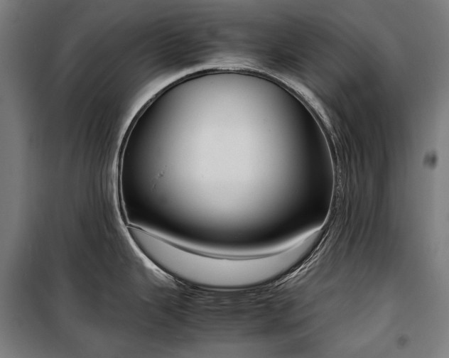 X0000100311343200806121031