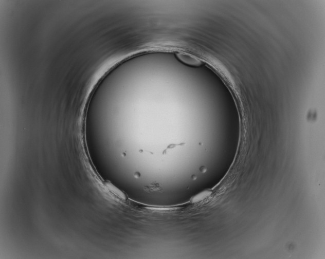 X0000100311344200806121031