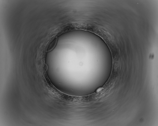 X0000100311345200806121031