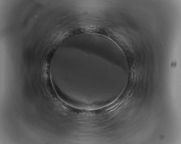 X0000100311346200806121031