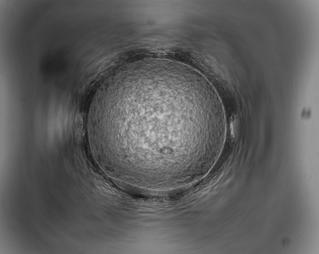 X0000100311347200806121031