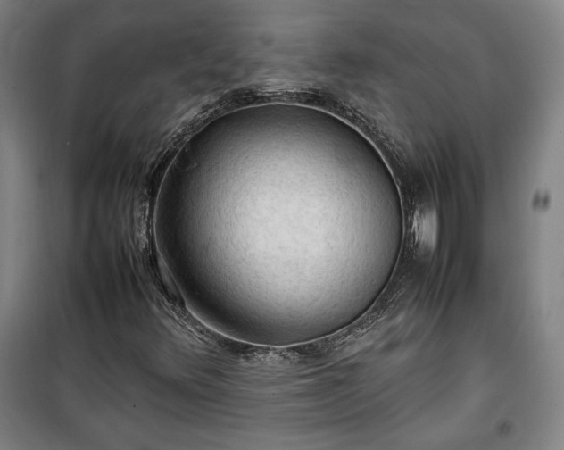 X0000100311348200806121031