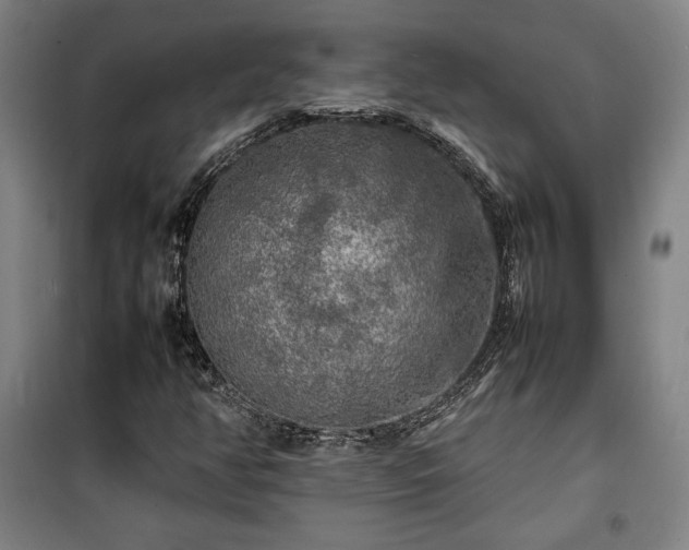 X0000100311350200806121031