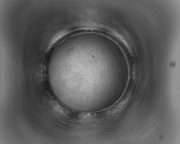 X0000100311352200806121030