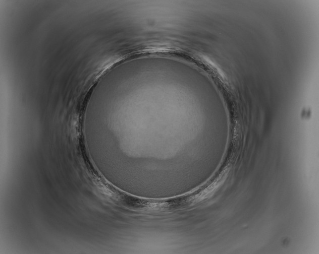 X0000100311353200806121030