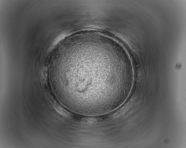 X0000100311355200806121030
