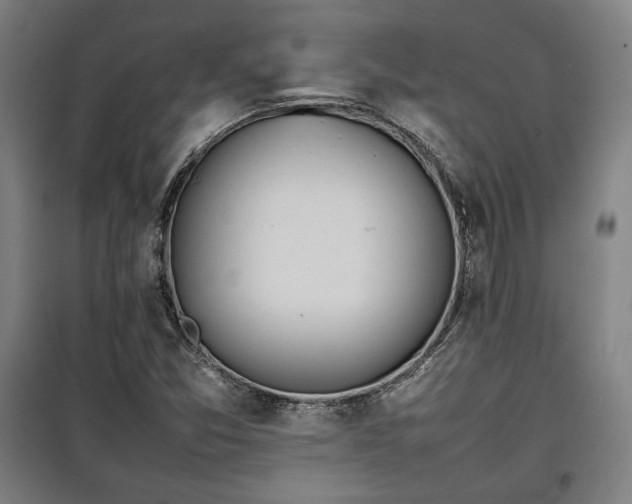 X0000100311357200806121030
