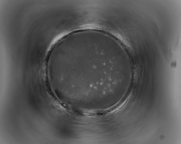 X0000100311358200806121030