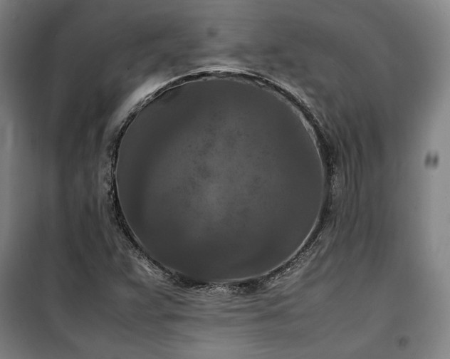 X0000100311359200806121030