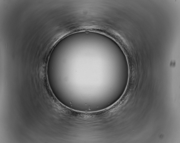 X0000100311361200806121030