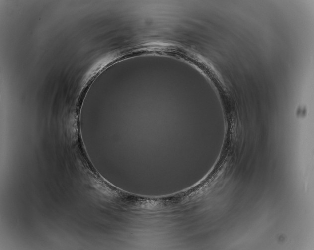 X0000100311362200806121030