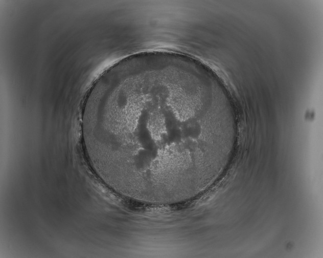 X0000100311363200806121030