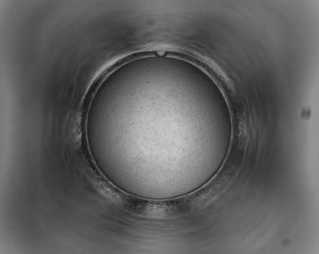 X0000100311364200806121030