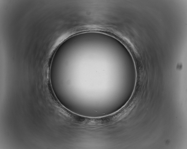 X0000100311365200806121030