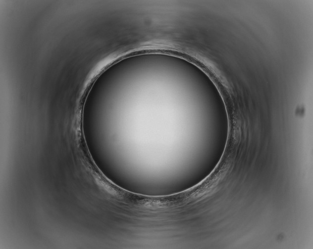 X0000100311366200806121030