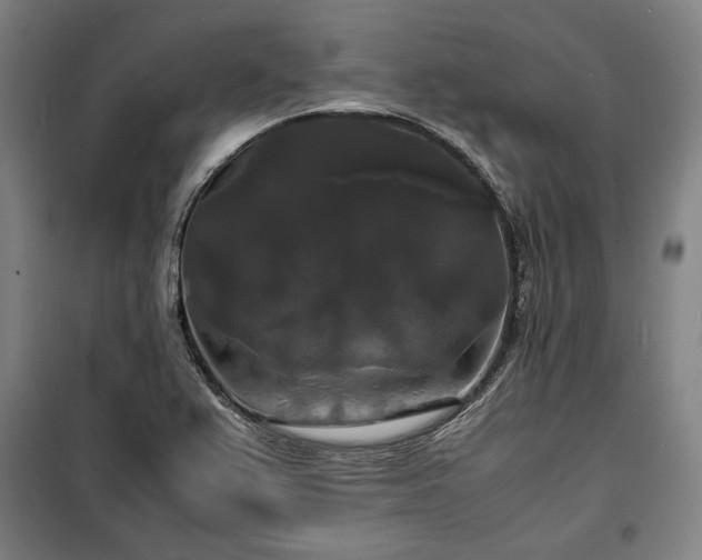 X0000100311367200806121030
