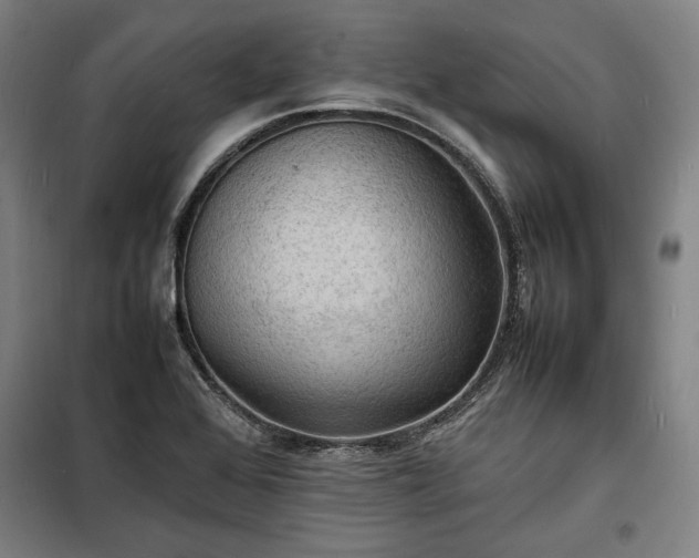 X0000100311368200806121030
