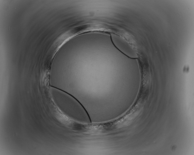 X0000100311369200806121030