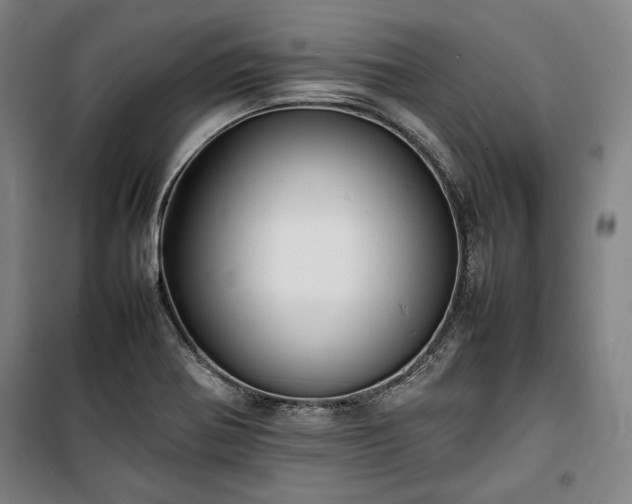 X0000100311370200806121030
