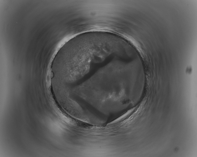 X0000100311371200806121030