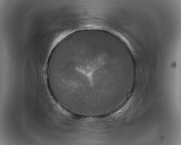 X0000100311373200806121030
