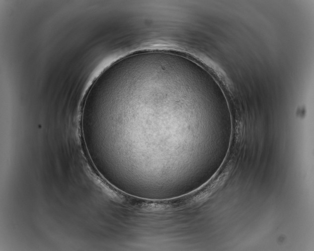 X0000100311374200806121030