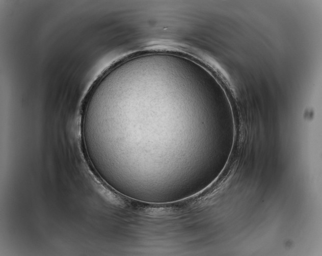 X0000100311376200806121030