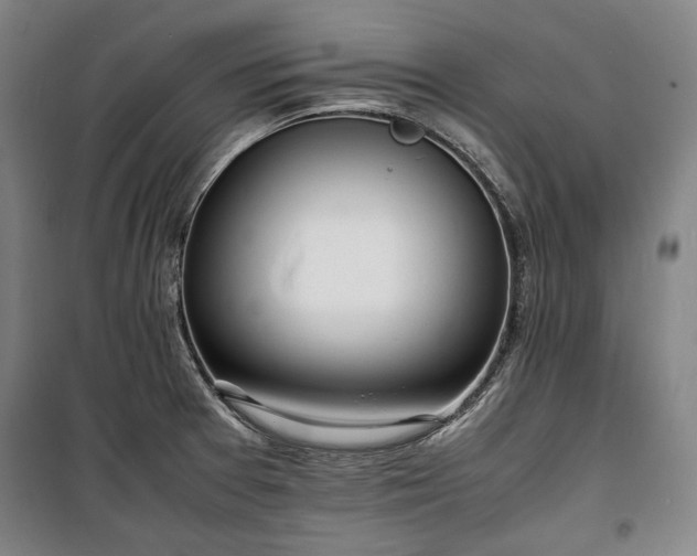 X0000100311377200806121030