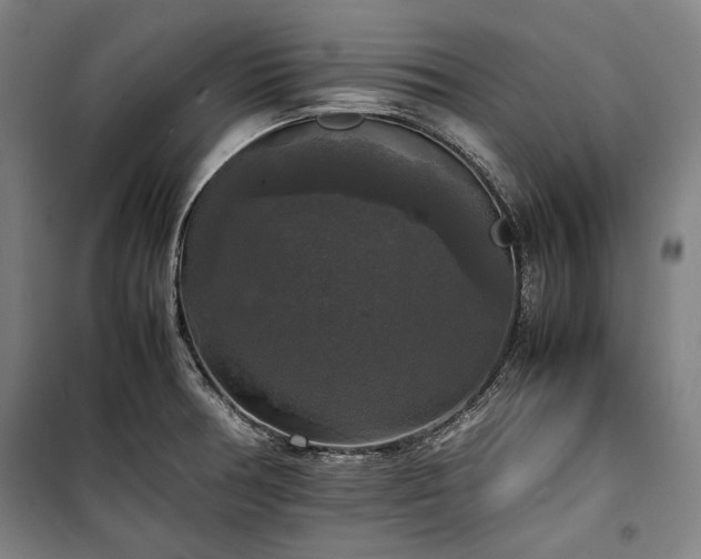 X0000100311378200806121030