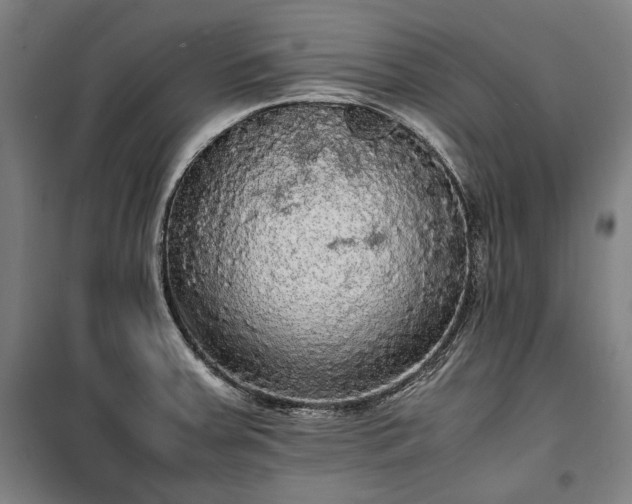 X0000100311379200806121030