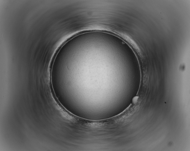 X0000100311380200806121030