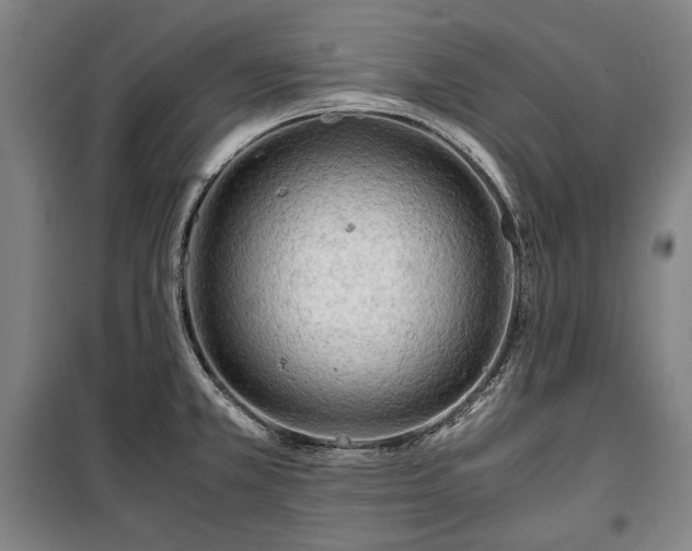 X0000100311381200806121030