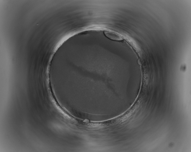 X0000100311382200806121030