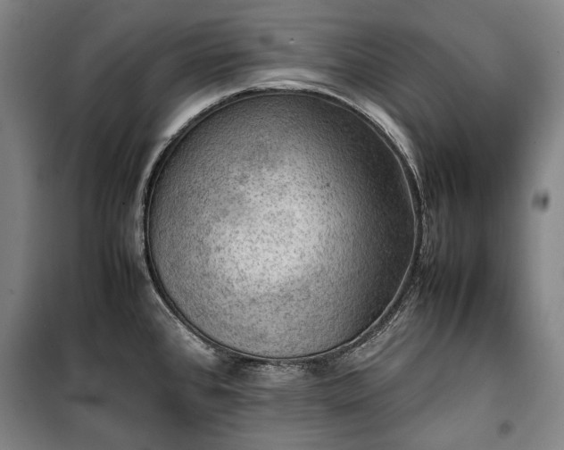 X0000100311384200806121030