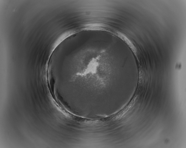 X0000100311386200806121030