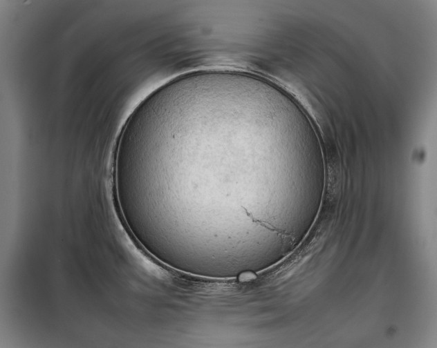 X0000100311387200806121030